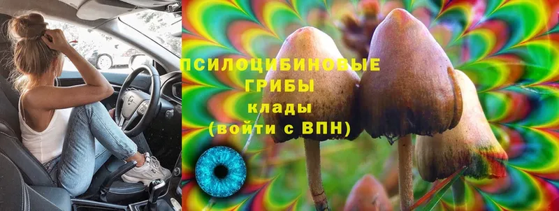 Галлюциногенные грибы GOLDEN TEACHER  где купить   Нерюнгри 